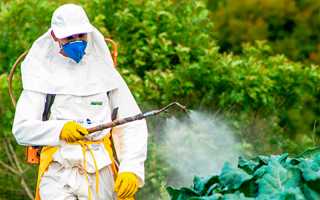 Отравление пестицидами (ядохимикатами)