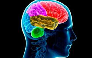 Что такое органическое поражение головного мозга?