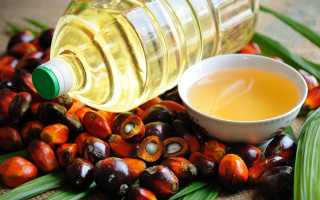 Польза и вред пальмового масла – чего больше?